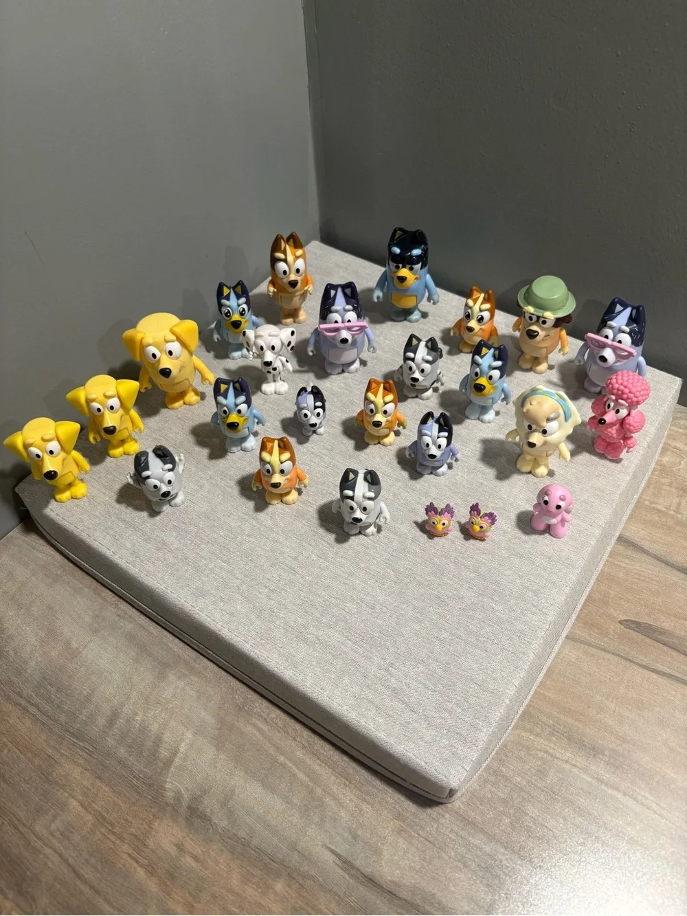 Bluey and Friends
